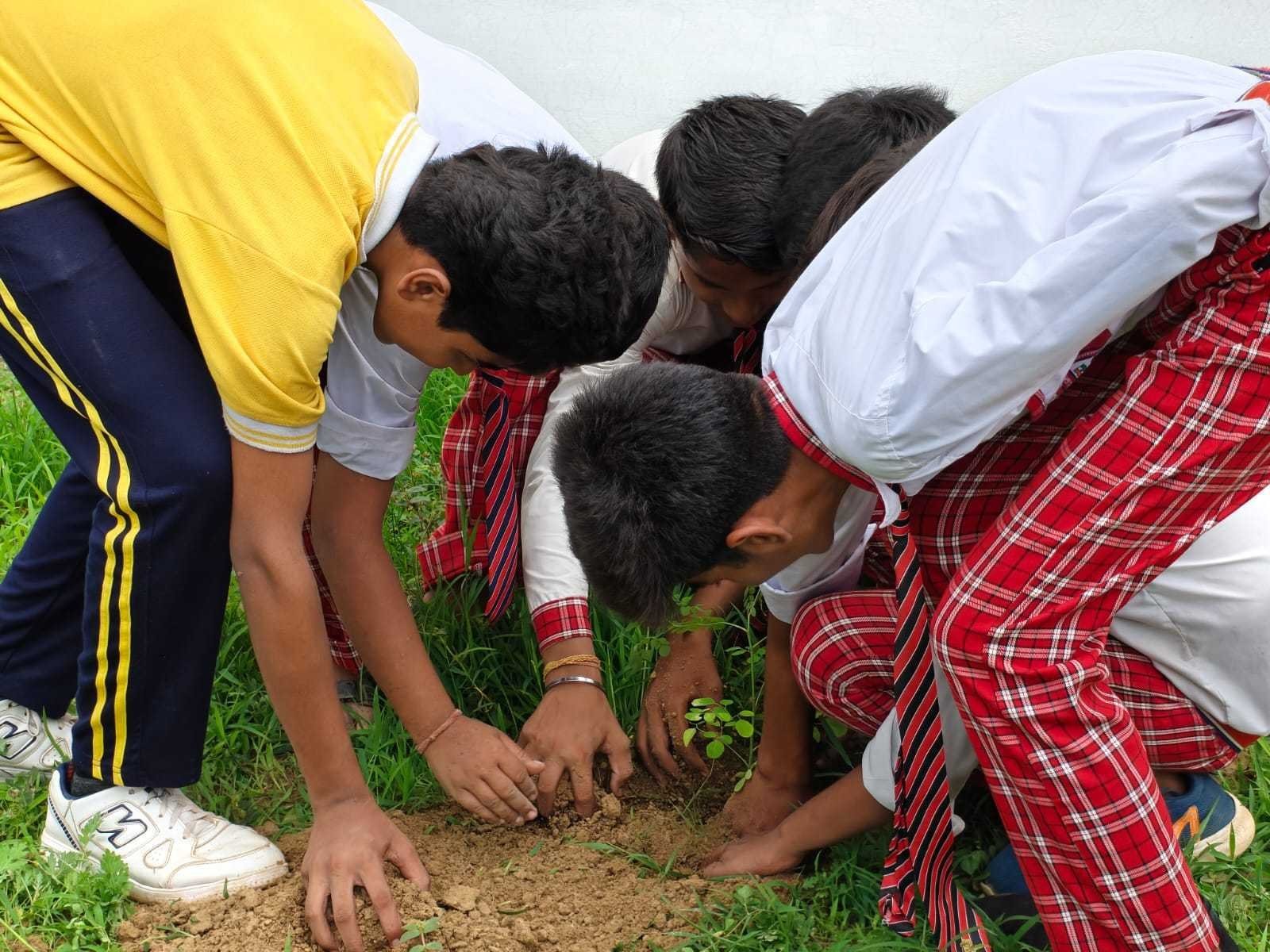 Schoolchildren planting a fruit-tree sapling during a trust field programme