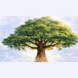 Maharshi Bhardwaj Charitable Trust