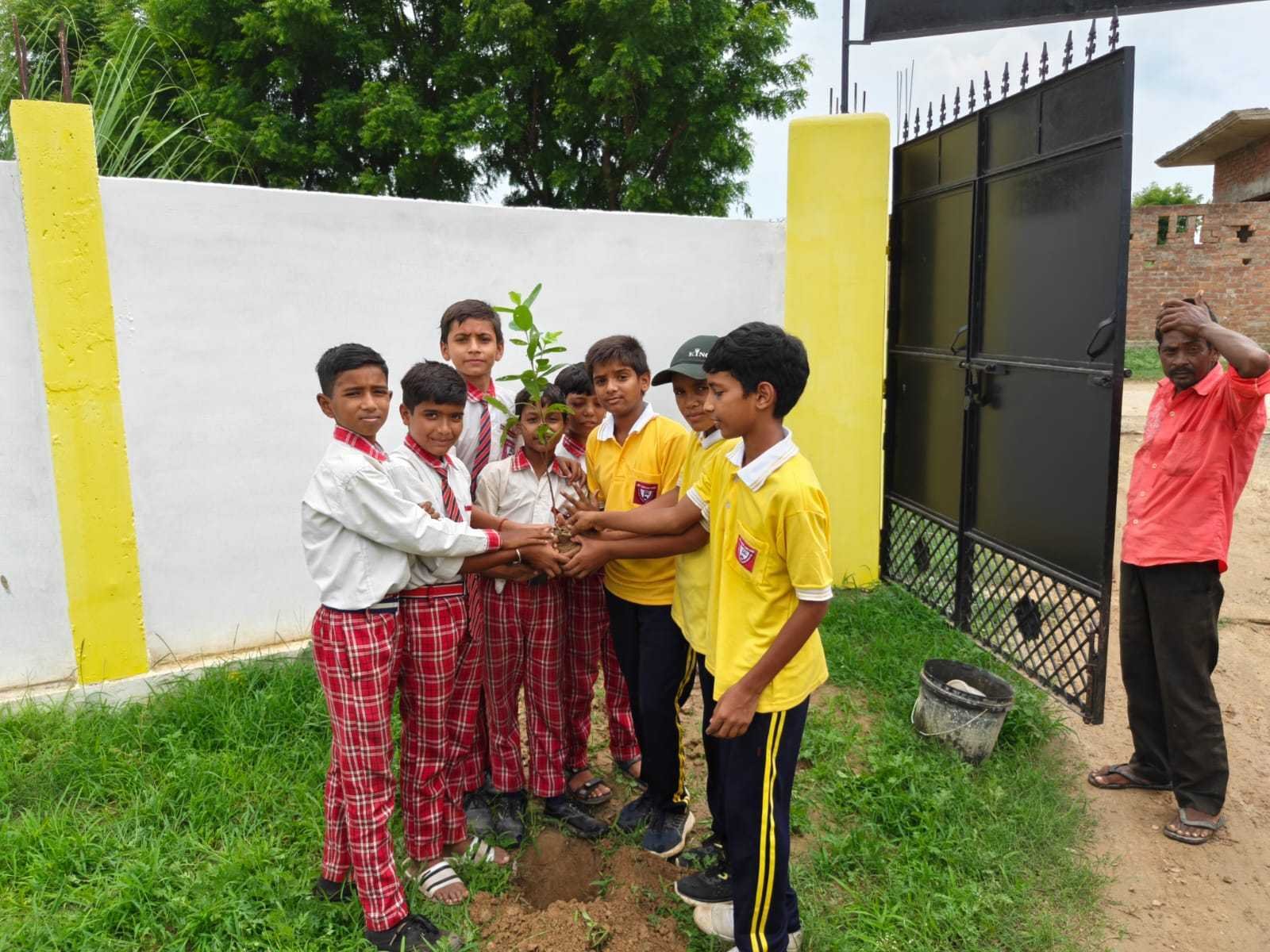 Group of students planting a tree near a school gate