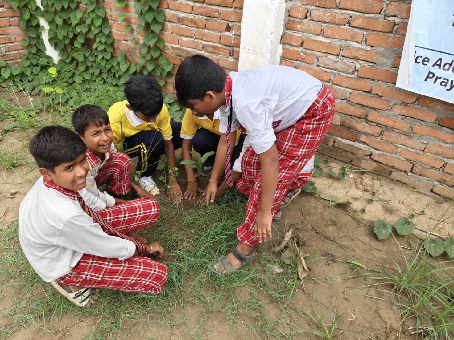 Students gathered around a newly planted sapling